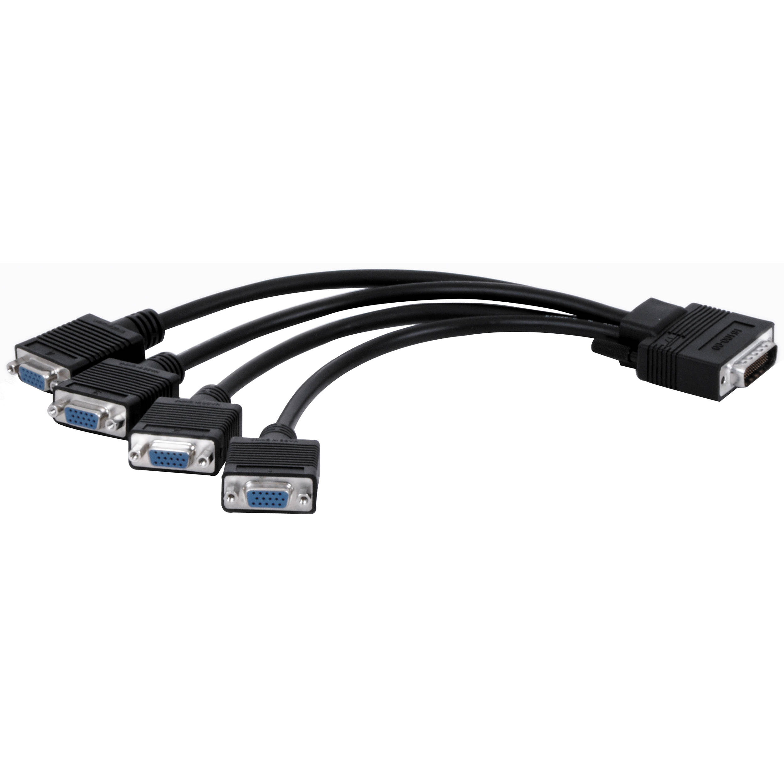Matrox 1' (0.3m) Quad Analog Upgrade Cable