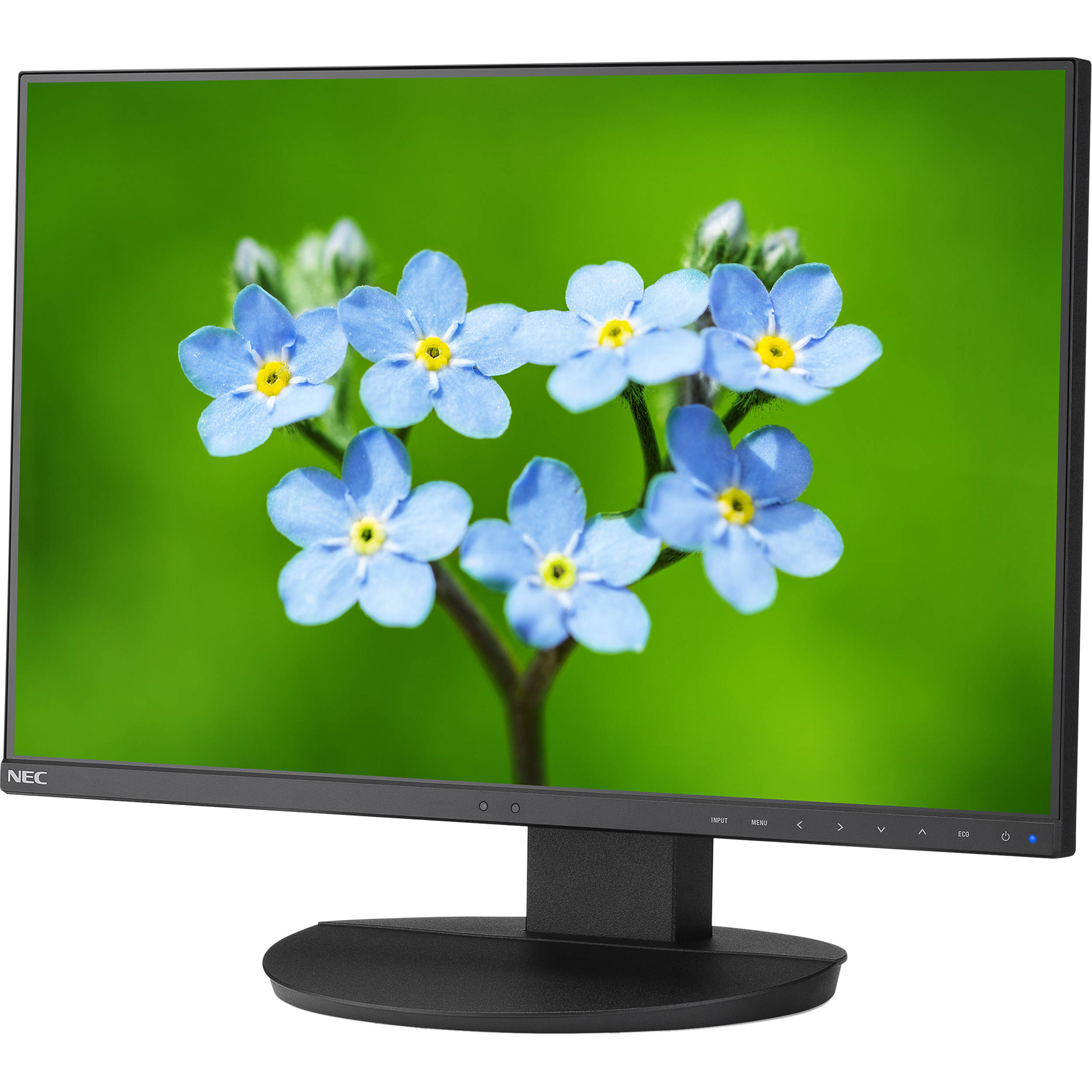 NEC MultiSync EA241F 23.8" 16:9 IPS Monitor (No Stand)